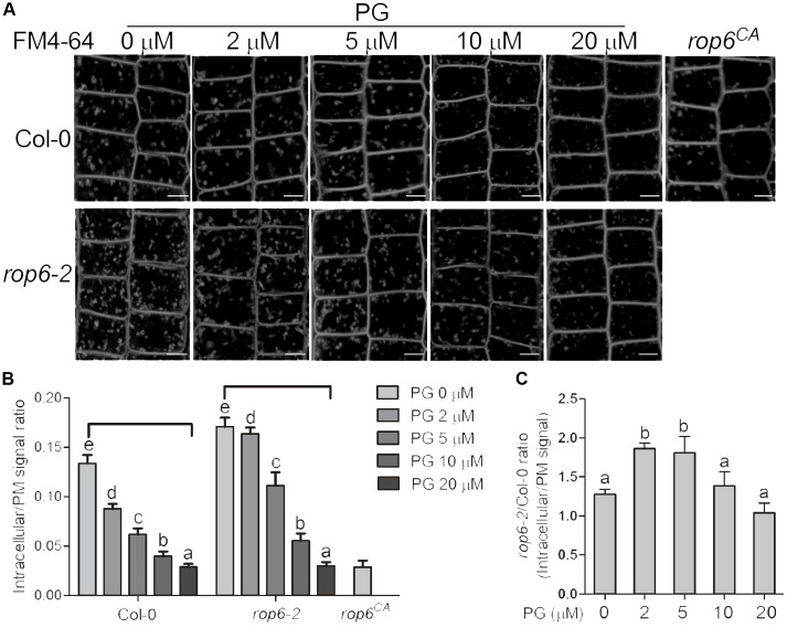 FIGURE 4