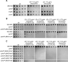 FIG 3