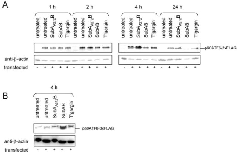 Fig. 8