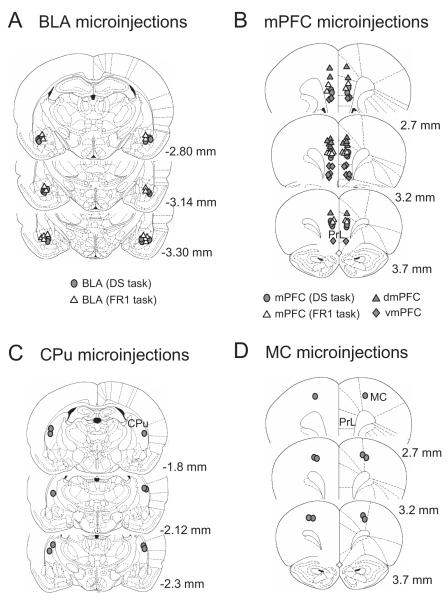 Fig. 8