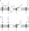 Figure 7