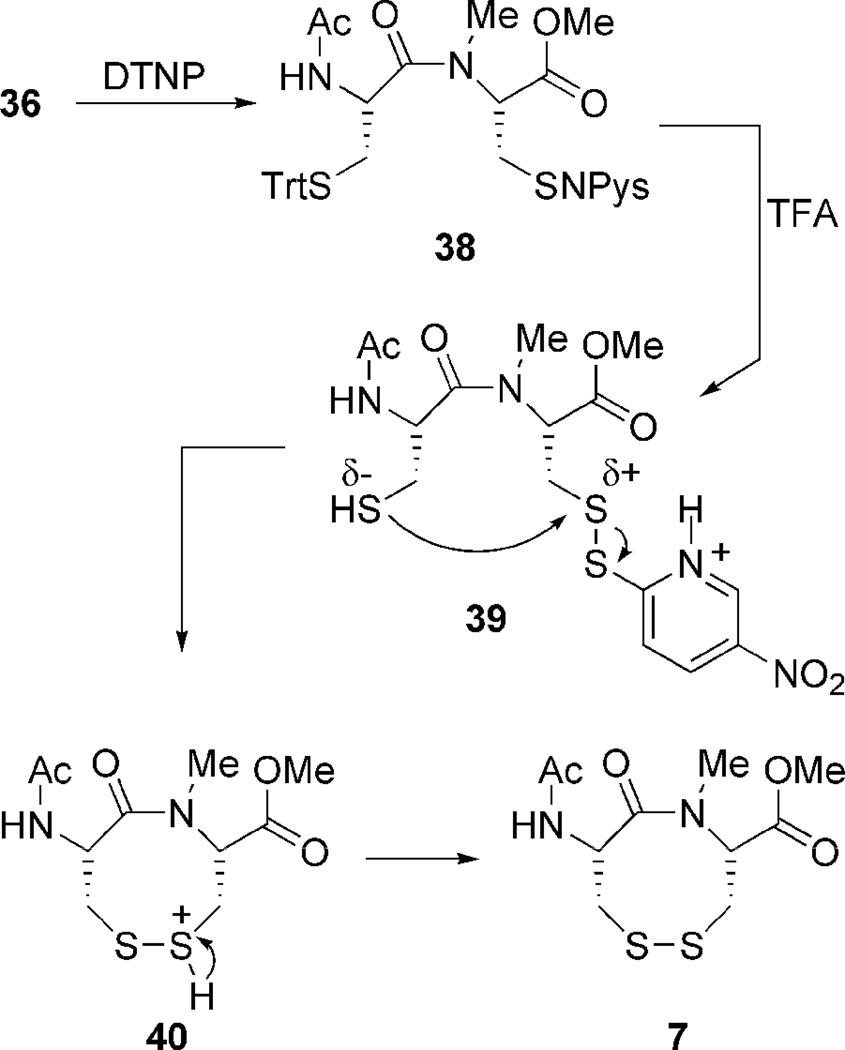 Scheme 4