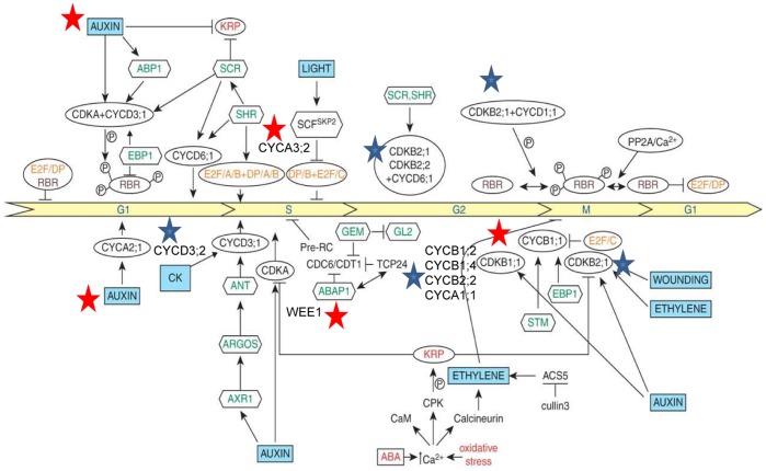 Figure 7