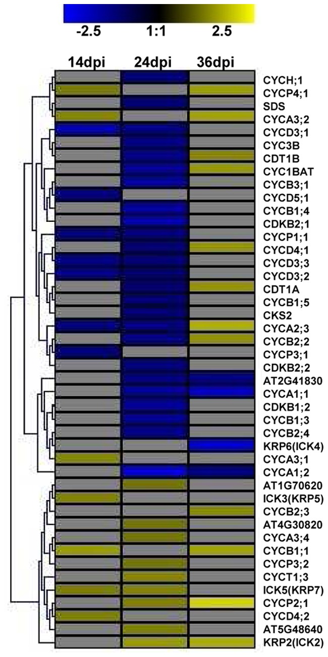 Figure 6