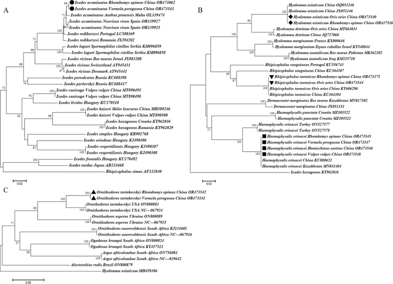 Fig. 2