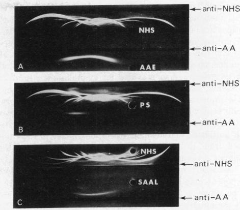 graphic file with name pnas00047-0261-a.jpg