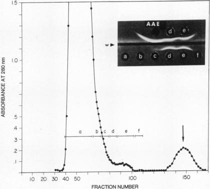 graphic file with name pnas00047-0261-c.jpg