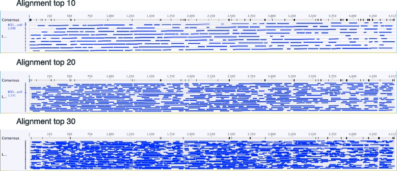 Fig. 4