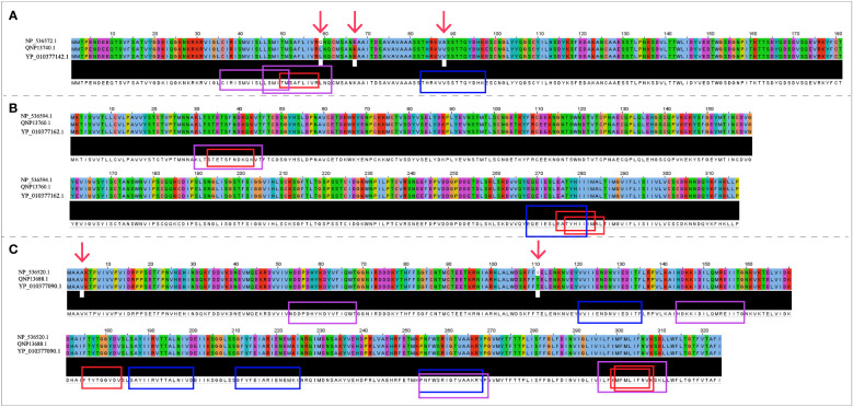 Figure 2