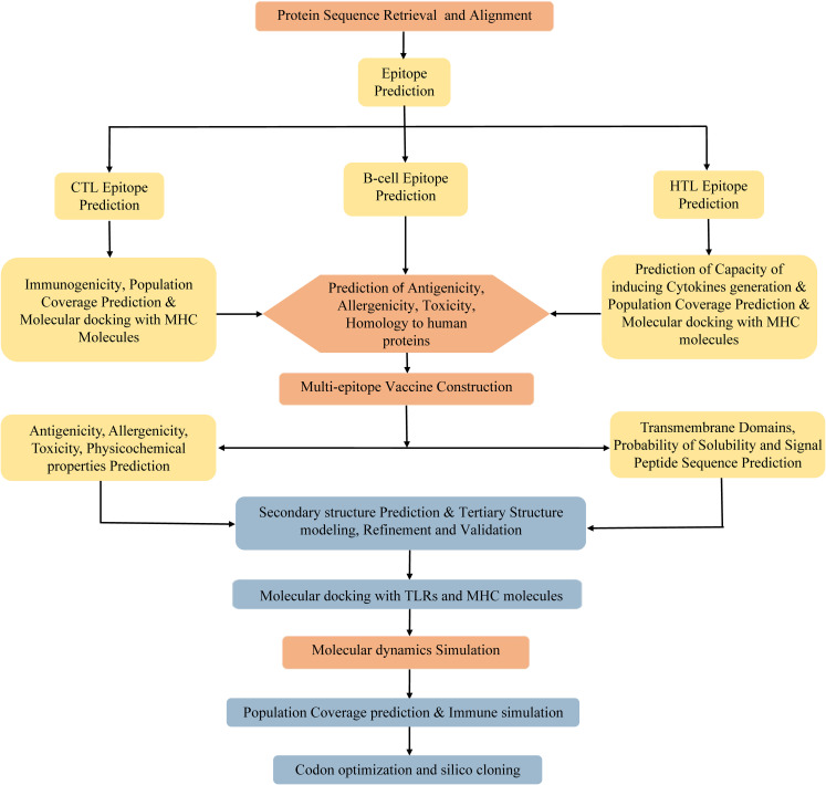 Figure 1