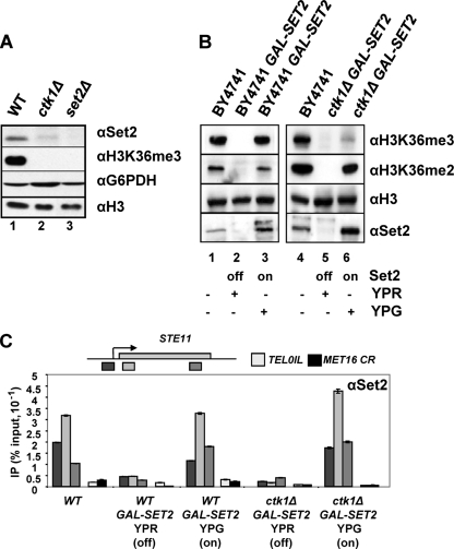 FIG. 6.