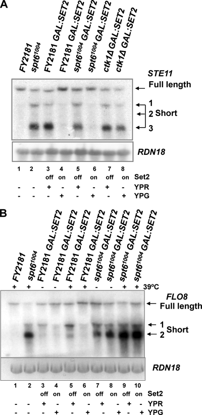 FIG. 7.