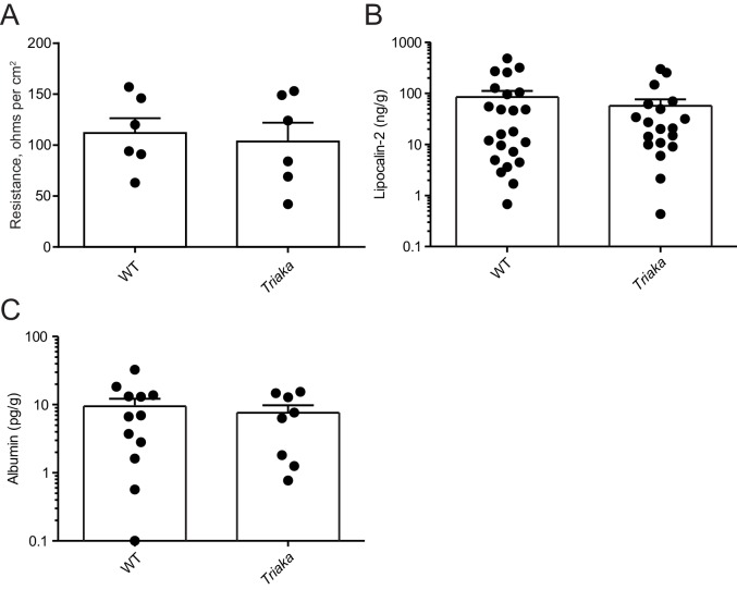 Figure 3—figure supplement 3.