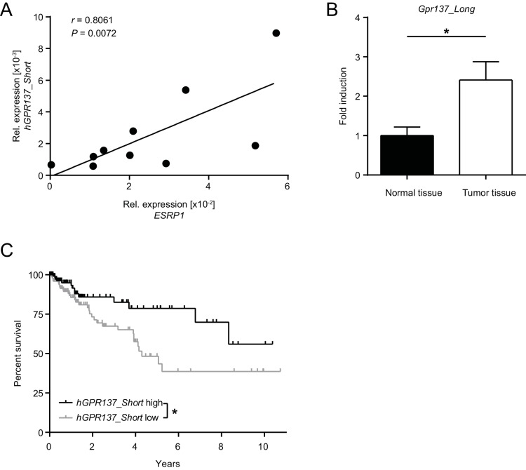 Figure 6—figure supplement 1.