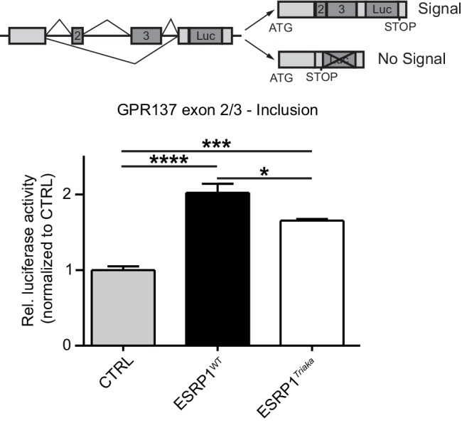 Figure 5—figure supplement 1.