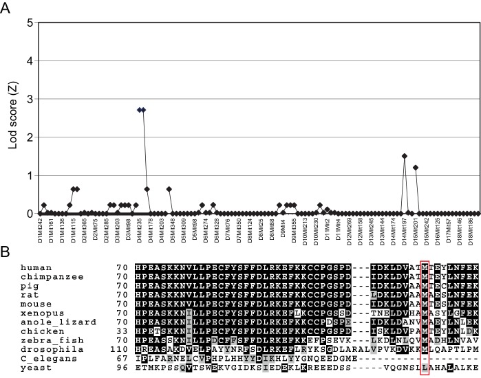 Figure 1—figure supplement 1.