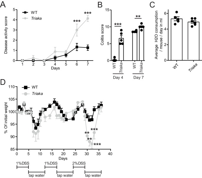 Figure 4—figure supplement 1.