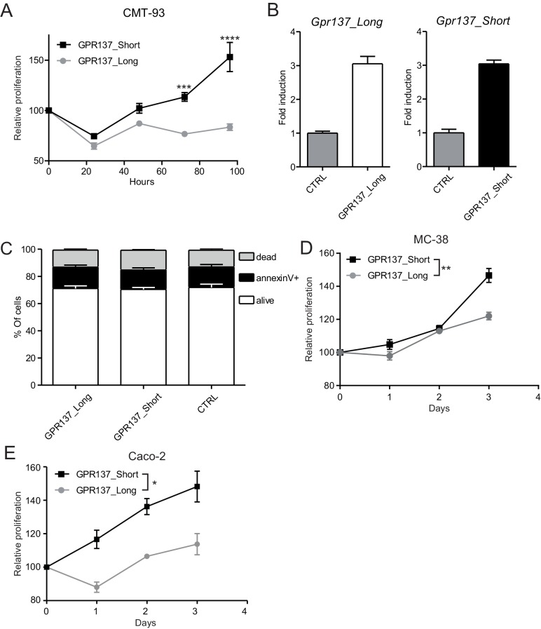 Figure 5—figure supplement 2.