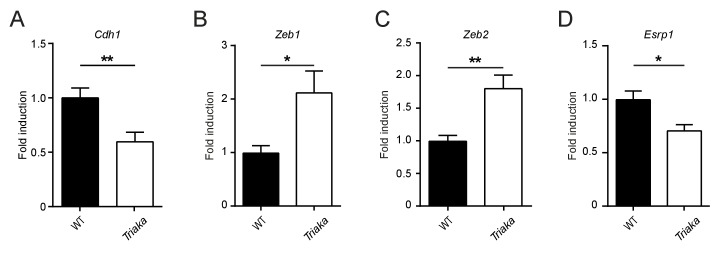 Figure 4—figure supplement 3.