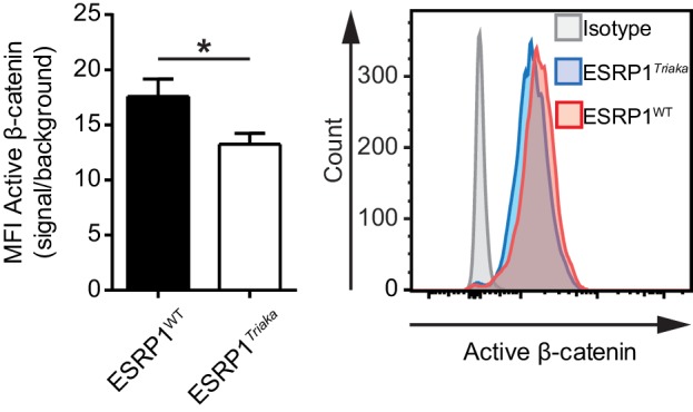 Figure 5—figure supplement 3.