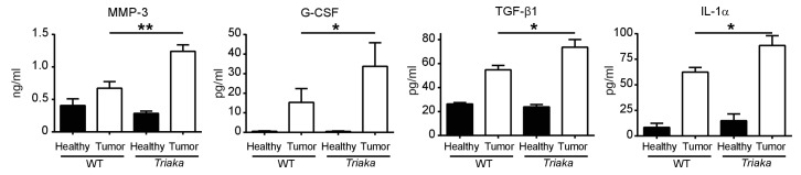 Figure 4—figure supplement 2.