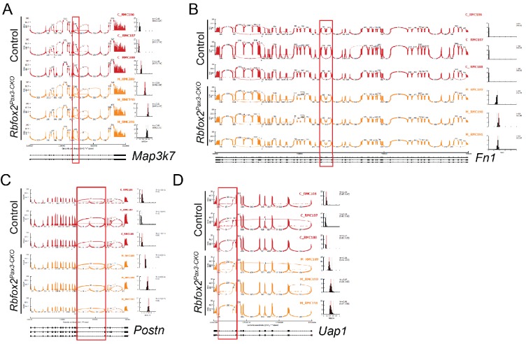 Figure 5—figure supplement 1.