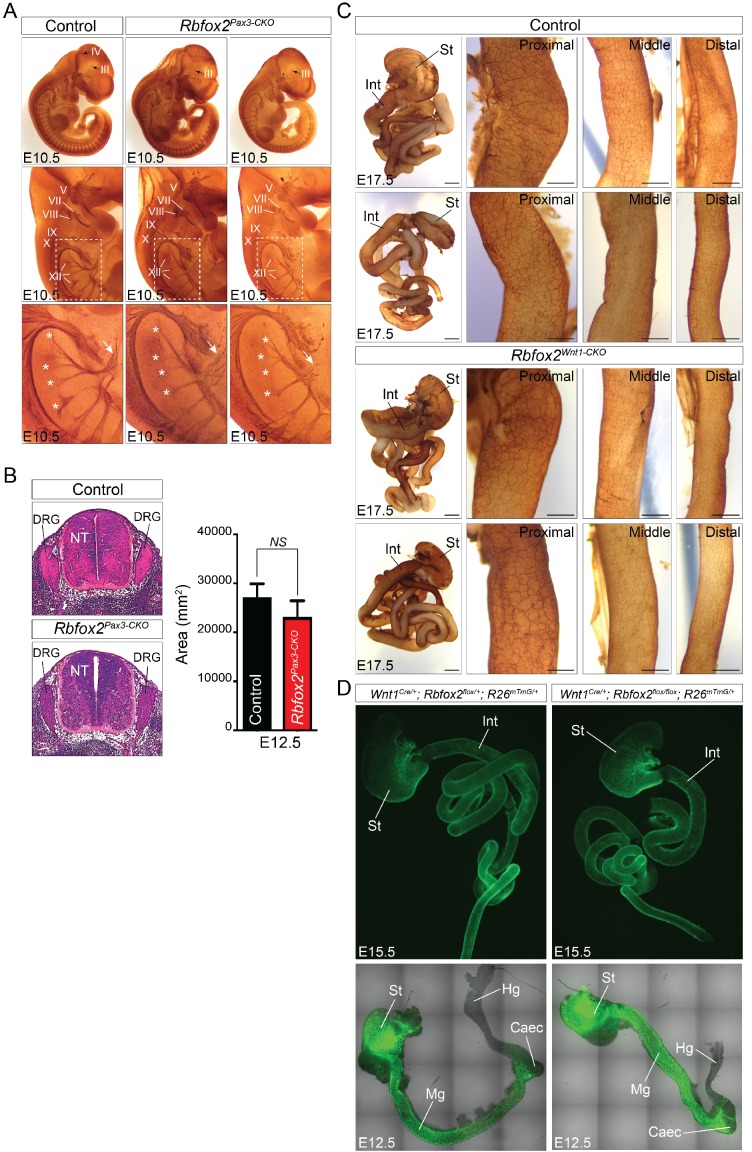 Figure 4—figure supplement 3.