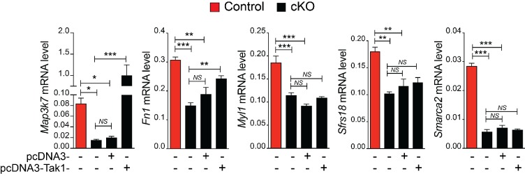 Figure 6—figure supplement 2.