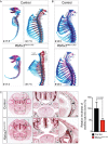 Figure 4—figure supplement 1.