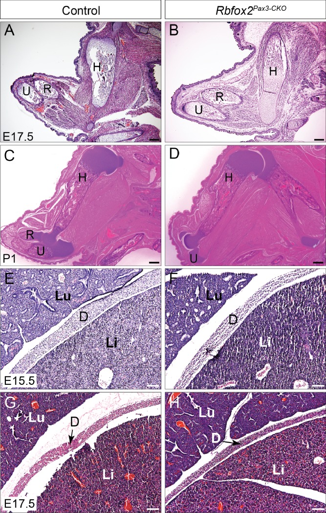 Figure 4—figure supplement 6.