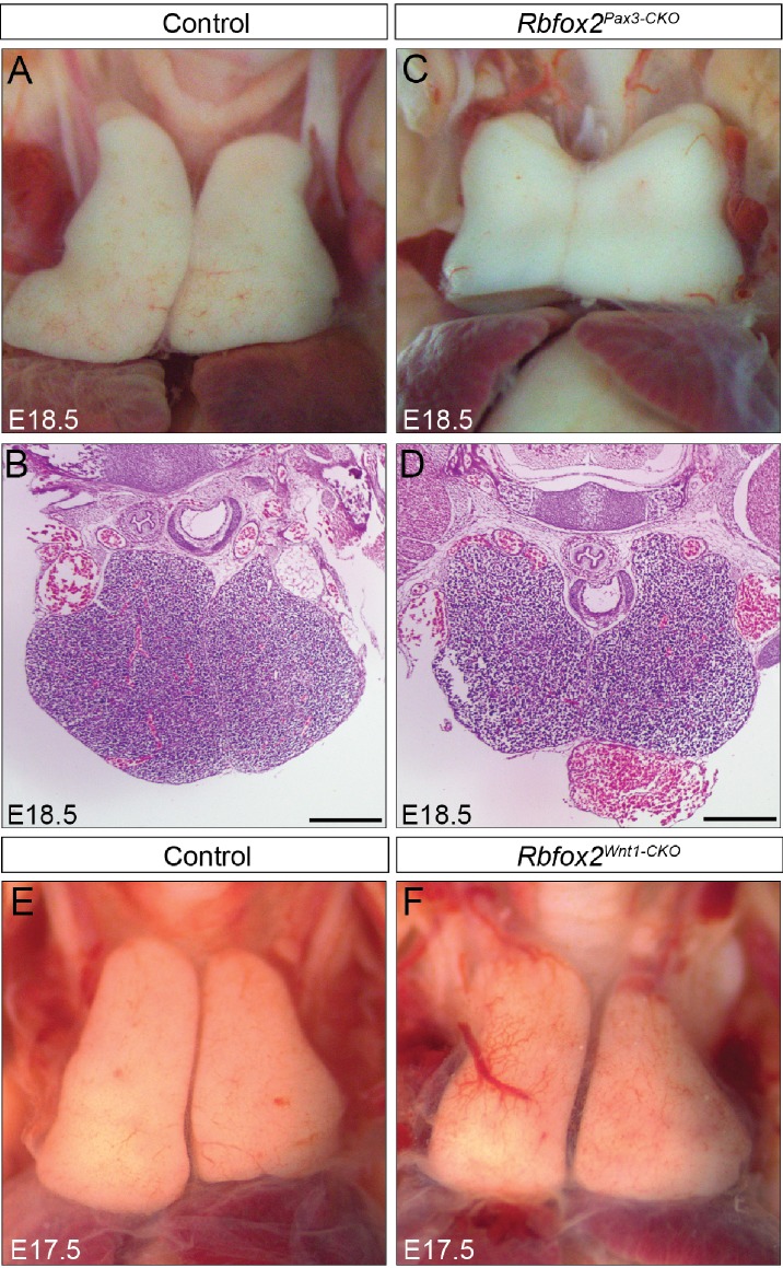 Figure 4—figure supplement 4.