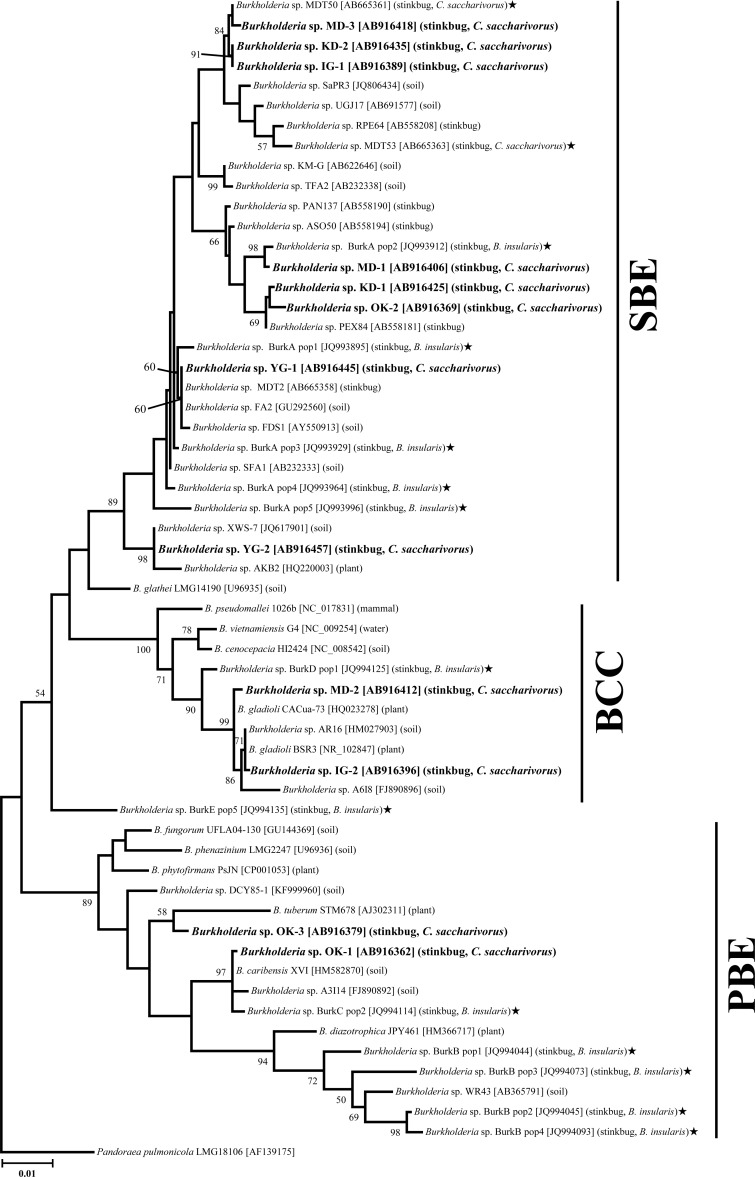 FIG 2