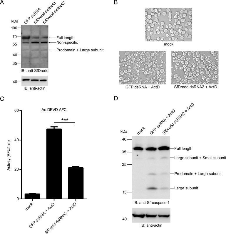 Fig 9