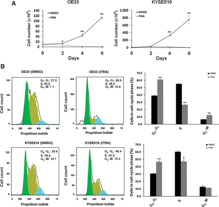 Figure 1. Itraconazole inhibits proliferation of esophageal cancer cells. A, Cell proliferation assay for OE33 and KYSE510 cells. OE33 and KYSE510 cells were plated in 6-well plates and cultured in medium supplemented with 2.5 μmol/L itraconazole or DMSO for 6 days. Cell numbers were measured at the indicated timepoints. Values represent the mean ± SEM for triplicate wells. *, P < 0.05; **, P < 0.01 versus control group by Student t test. B, Representative cell-cycle analysis using flow cytometry after staining with propidium iodide. OE33 and KYSE510 were treated with 2.5 μmol/L of itraconazole or DMSO for 24 hours. Flow cytometric histograms of each phase of the cell cycle in OE33 or KYSE510 cells after itraconazole treatment as compared with control. Values represent the means ± SEM for three replicates. Black bars, DMSO; gray bars, itraconazole. *, P < 0.05; **, P < 0.01 versus control group by Student t test.