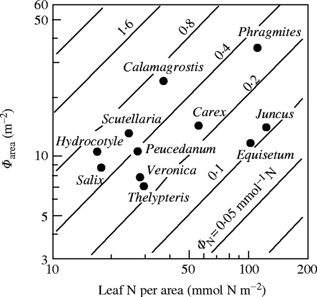 Fig. 5.