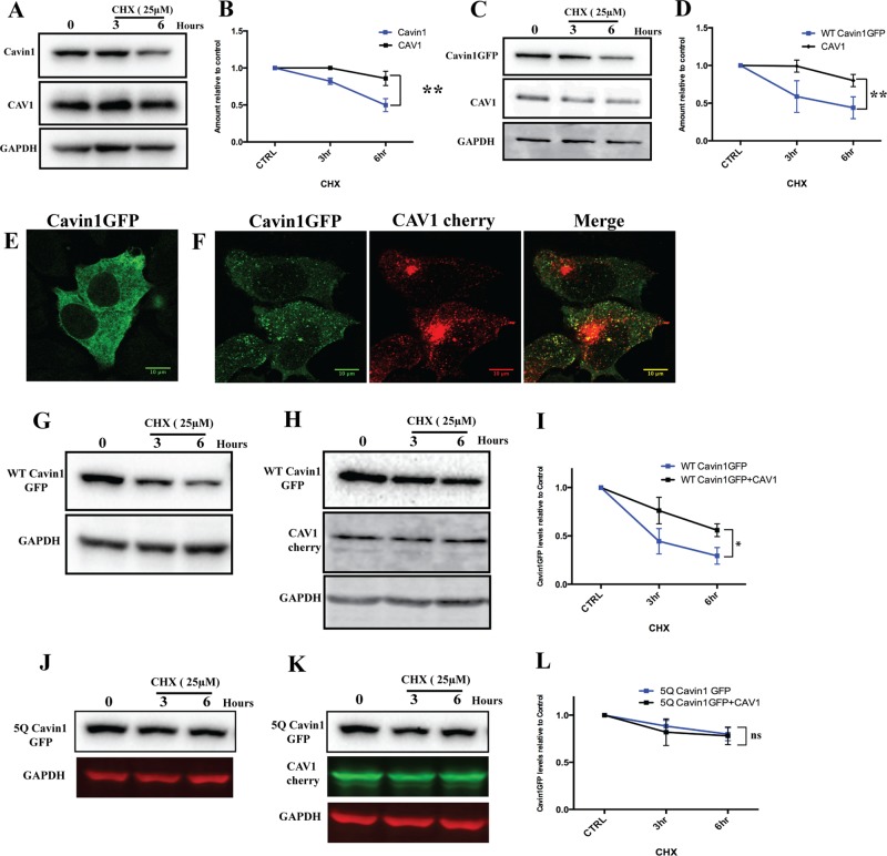 FIGURE 4: