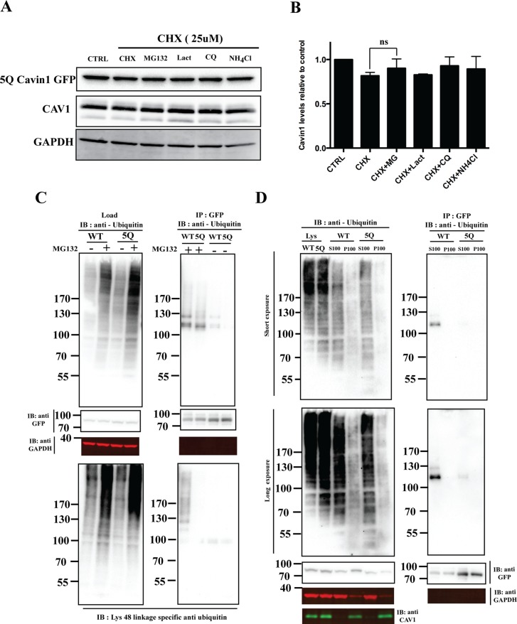 FIGURE 3: