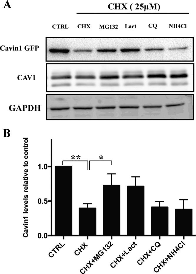 FIGURE 1: