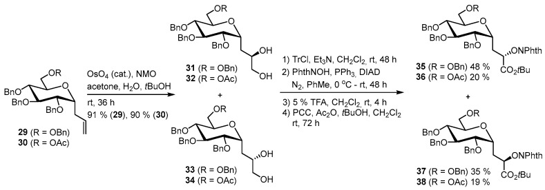 Scheme 6