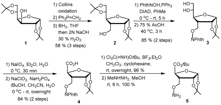 Scheme 1