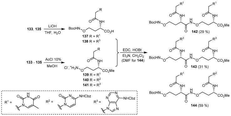 Scheme 19