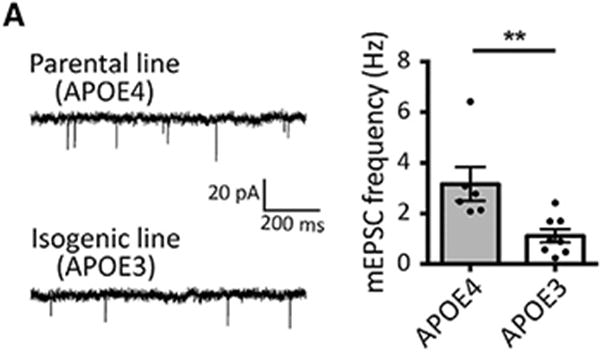 Figure 6A