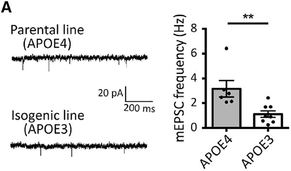 Figure 6A