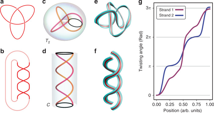 Fig. 2