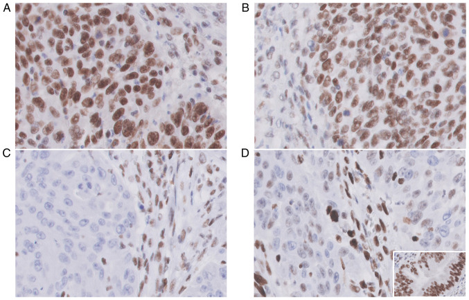 Figure 4.