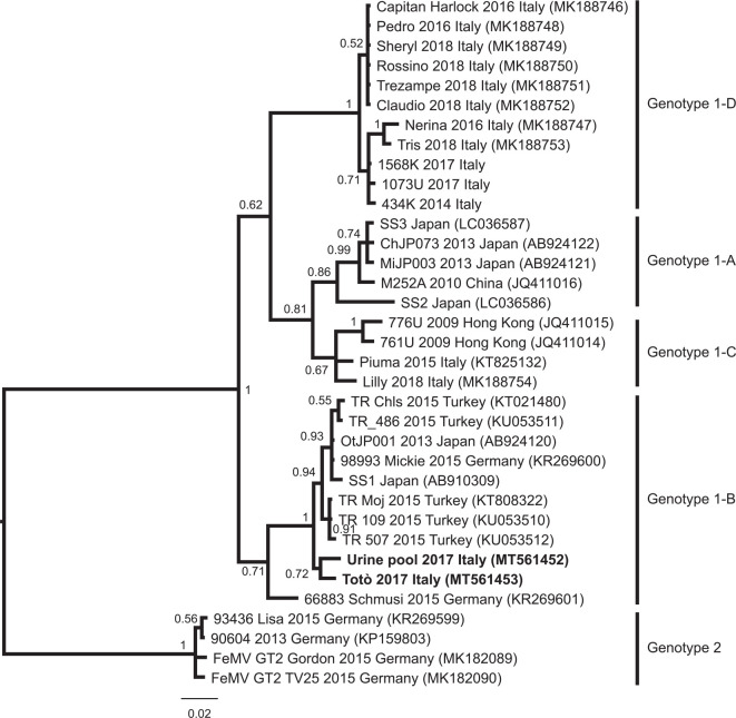 Figure 2