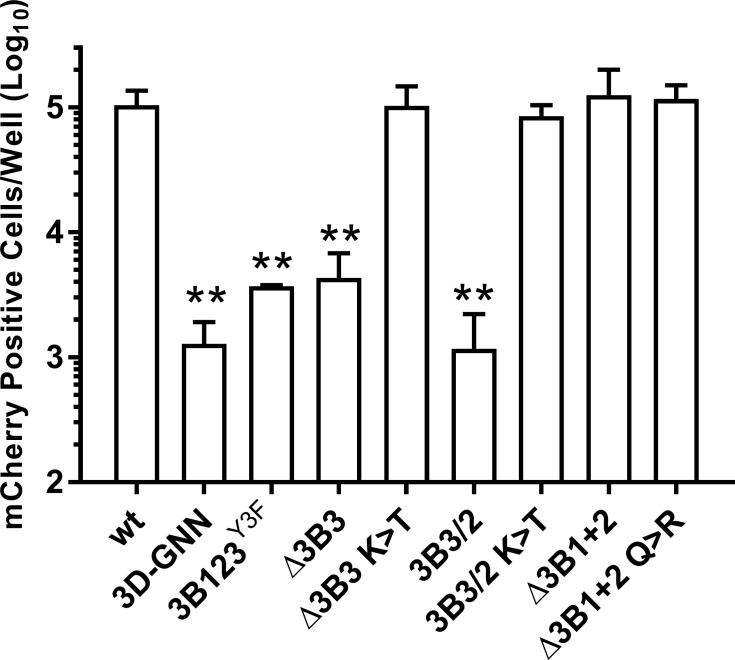 Fig 5