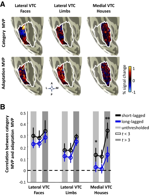 Fig. 9.