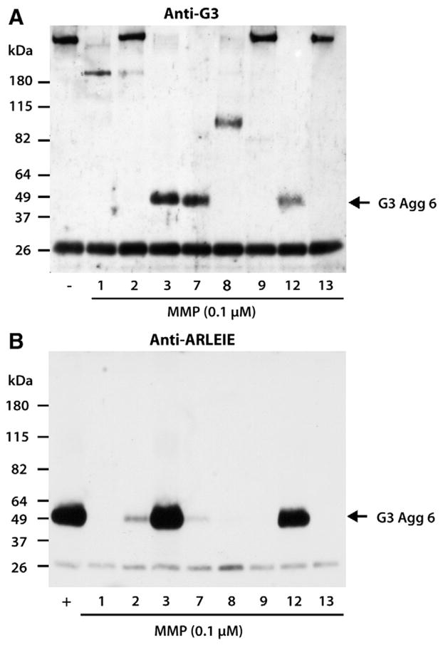 Fig. 9