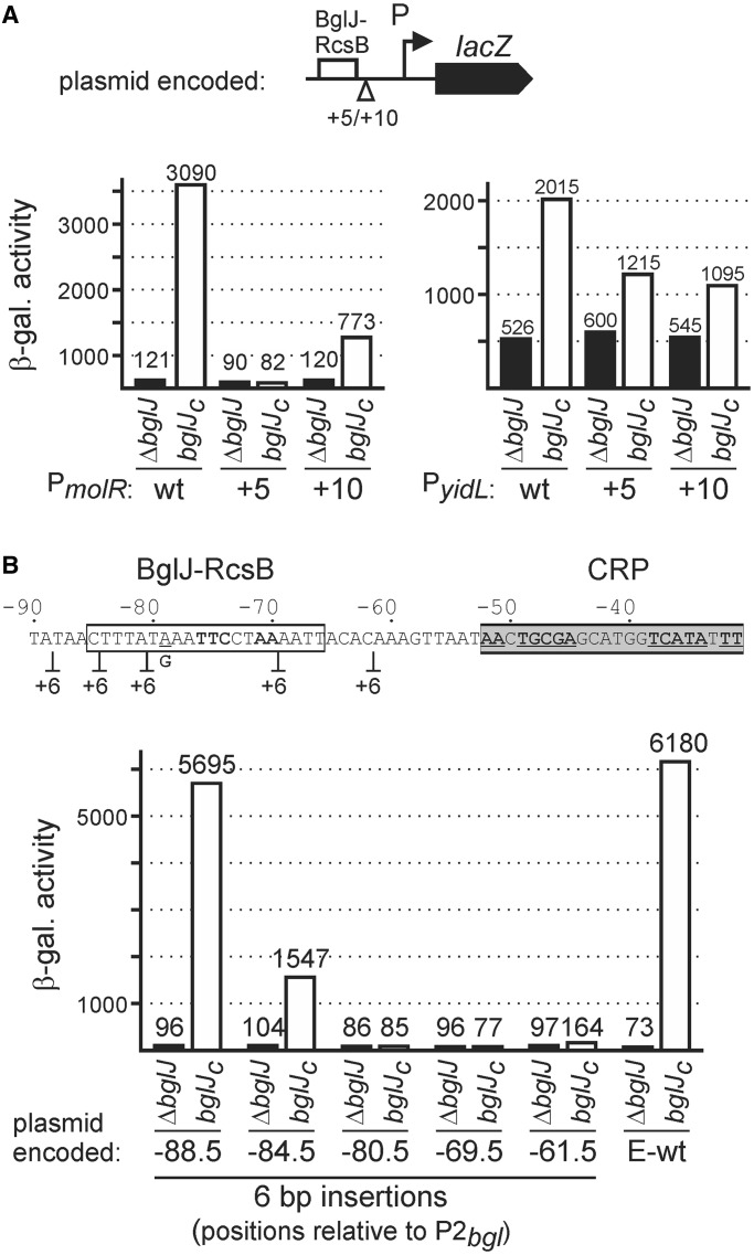 Figure 6.